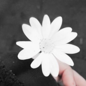 Meet your Posher, Kadence